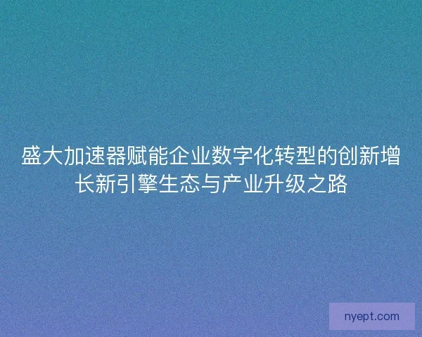 盛大加速器赋能企业数字化转型的创新增长新引擎生态与产业升级之路